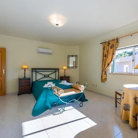 With Garden And Pool 别墅